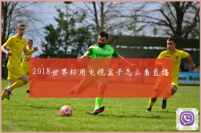 2018世界杯用电视盒子怎么看直播